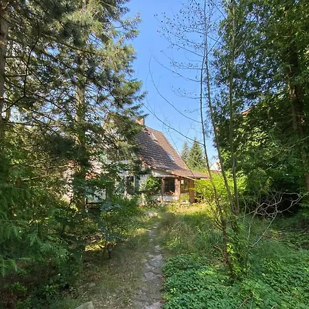 Villa Gemütliches Haus im grünen Niederfinow Exterior foto