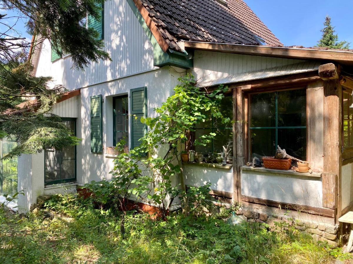 Holiday home Gemuetliches Haus Im Gruenen *