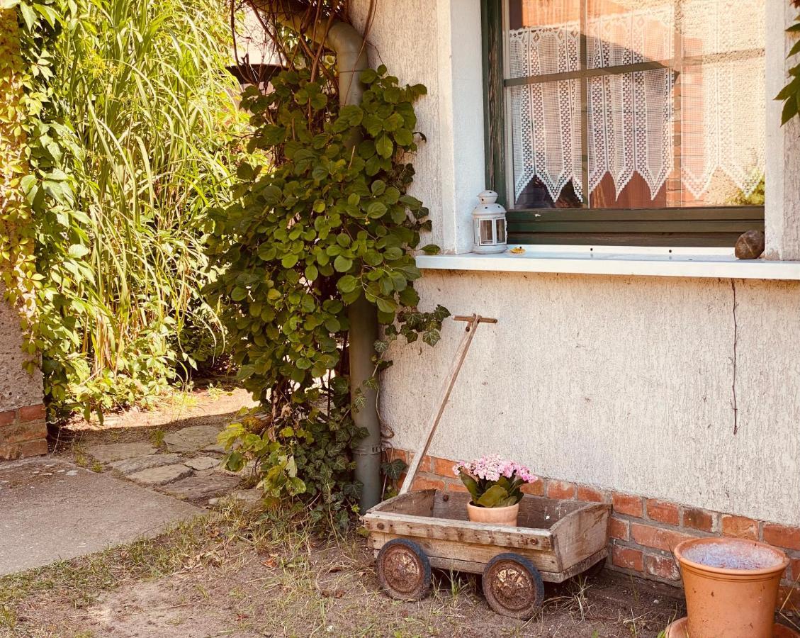 Gemuetliches Haus Im Gruenen Holiday home Niederfinow