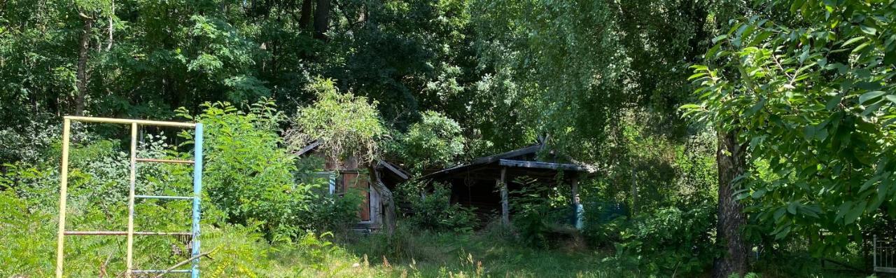 Gemuetliches Haus Im Gruenen Holiday home Niederfinow